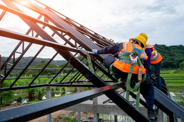 Best Gutter Installation and Roofing  in Reedurban, OH