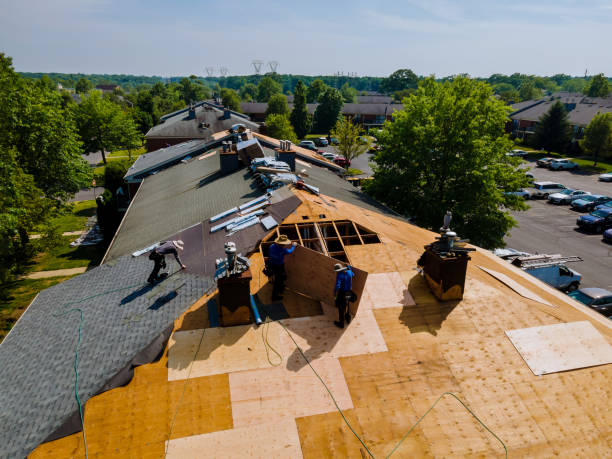 Best Flat Roof Repair Services  in Reedurban, OH