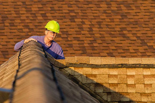 Best Roof Repair Services  in Reedurban, OH