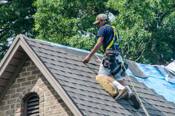 Best Emergency Roof Repair  in Reedurban, OH